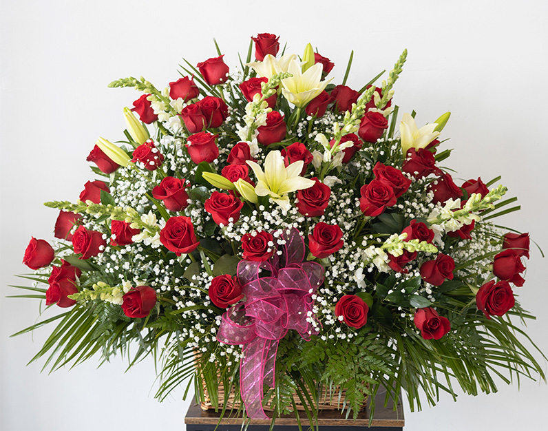 Valentine day. 50 red roses