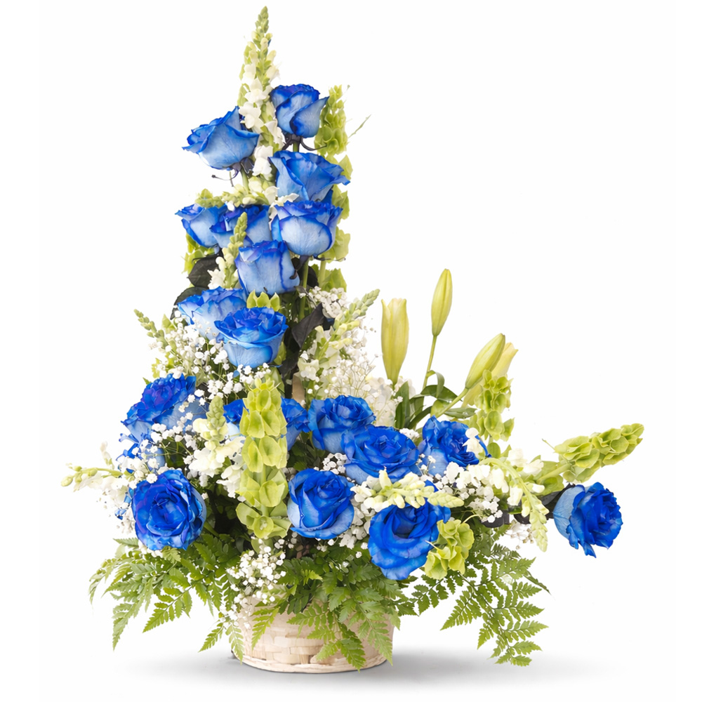 Espiral Blue roses Fresh Flowers shop