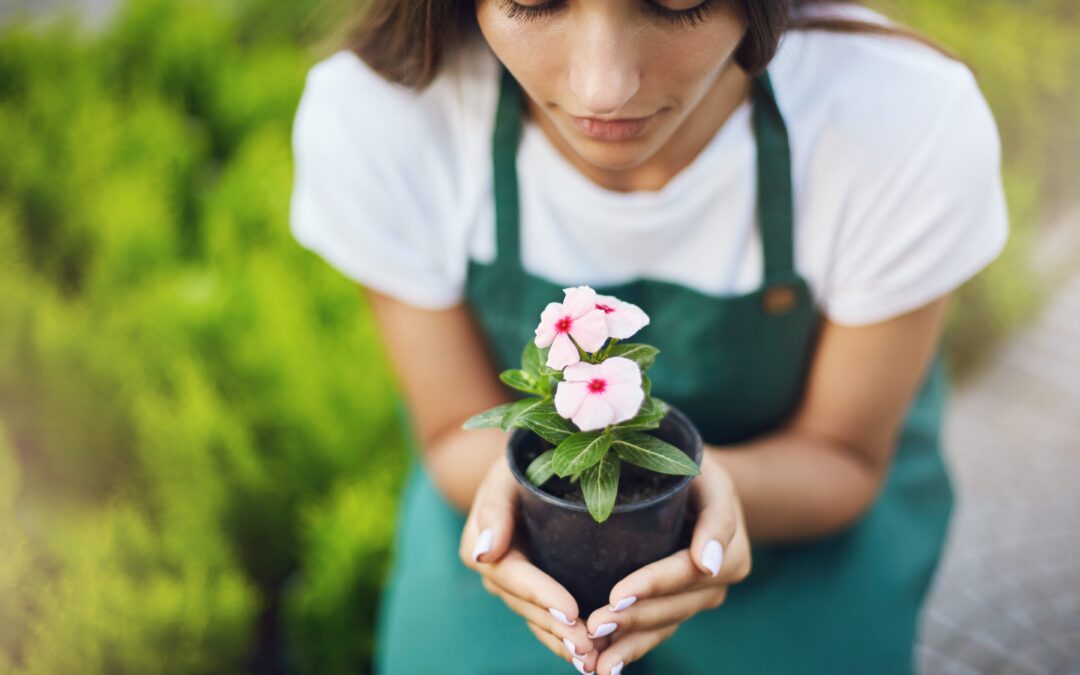 Cómo las Flores Benefician tu Bienestar Psicológico