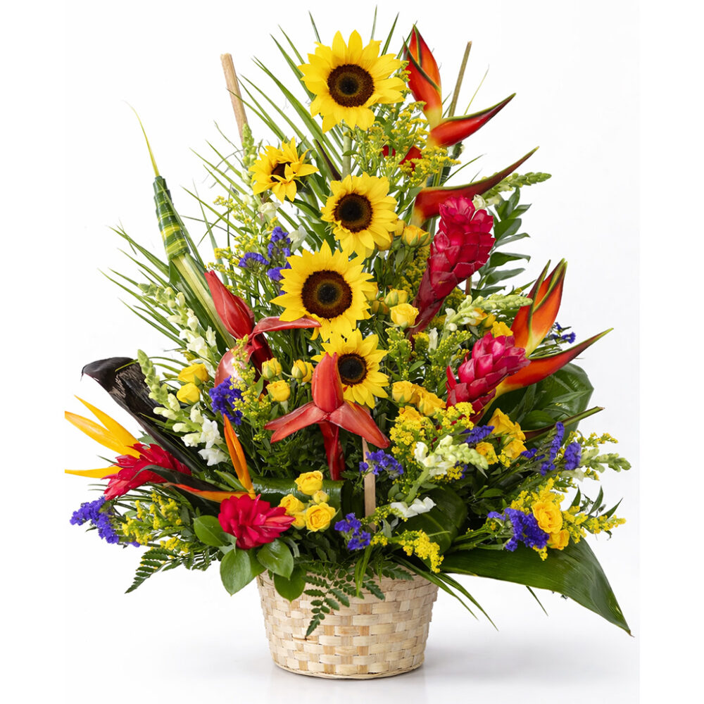 big tropical flowers