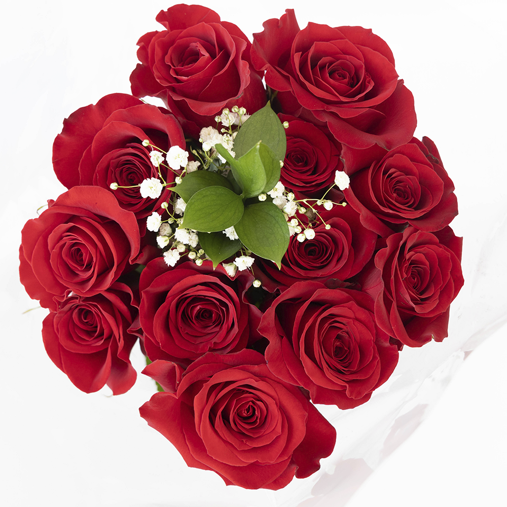 12 red roses. docena de rosas rojas
