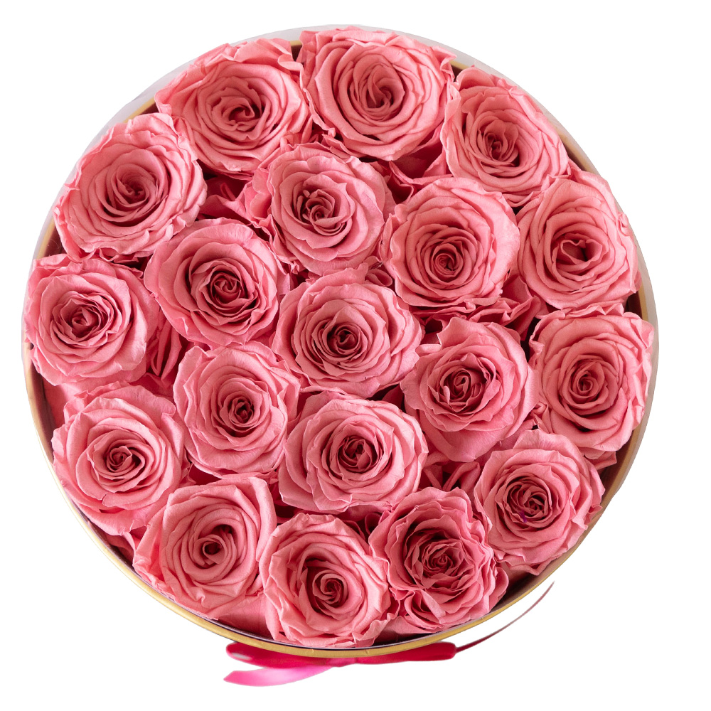pink roses eternas
