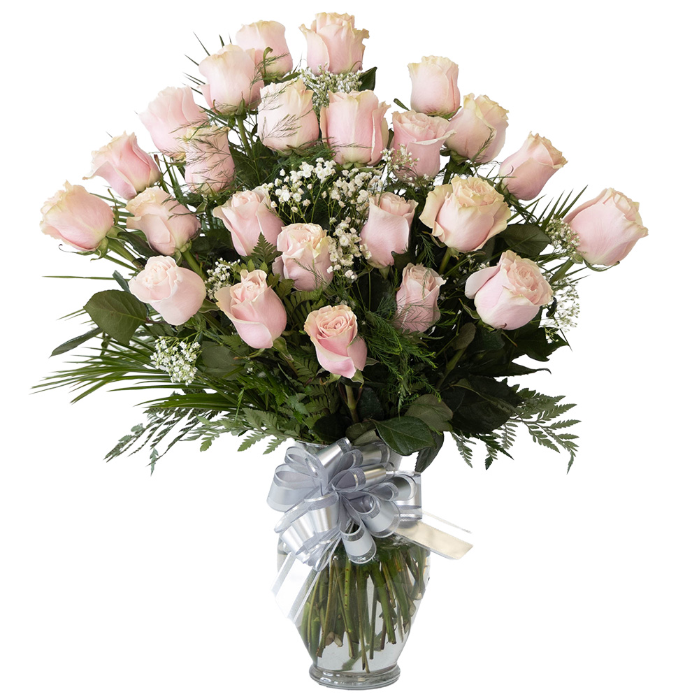 25 Roses julieth pink