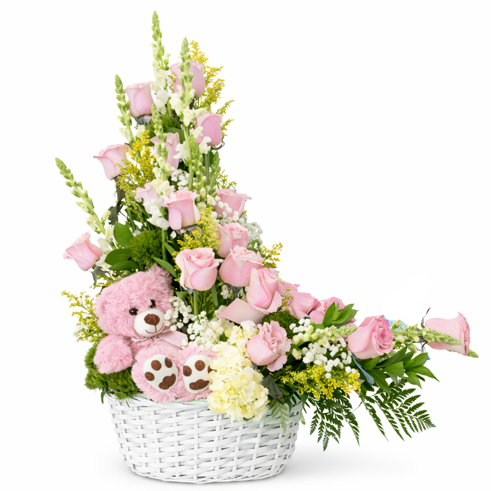 Sweet Baby Girl Pink Elegance